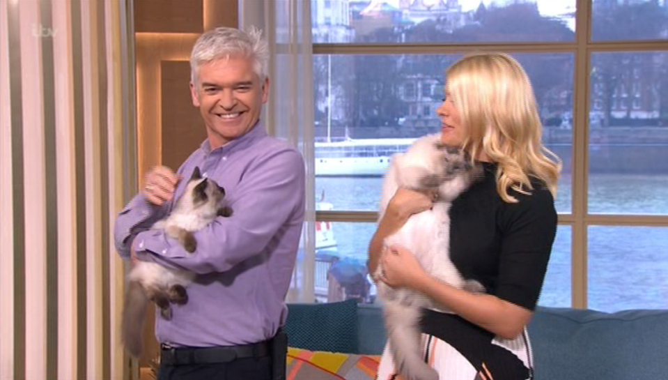  Phil seemed particularly attached to the gorgeous black and white kitten