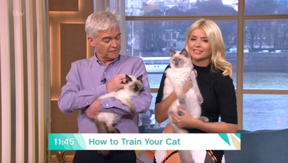  Holly and Phil cradled her cats as they opened today's episode