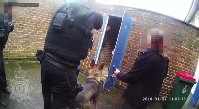 Cops cornered Piruz in a shed in Crawley, West Sussex on January 7, 2016