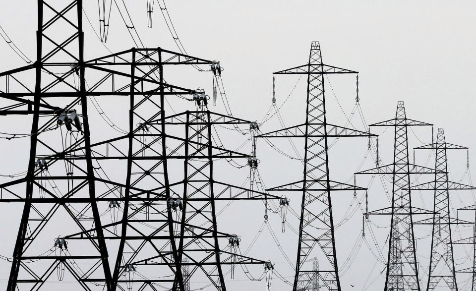  A successful terrorist attack on an energy grid would cause chaos and panic, it is claimed