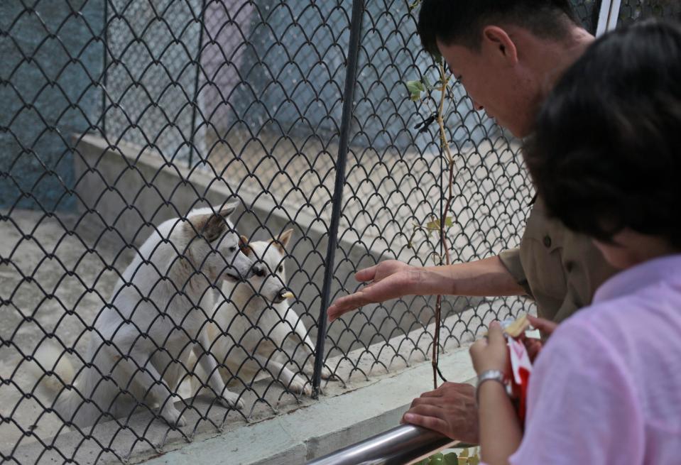  Visitors feed dogs at the Central Zoo in North Korean capital Pyongyang