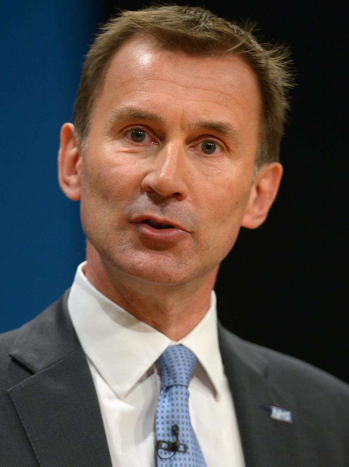  Grief ... Health Secretary Jeremy Hunt has previously spoken of his devastation after hearing how a 100-year-old patient died of dehydration