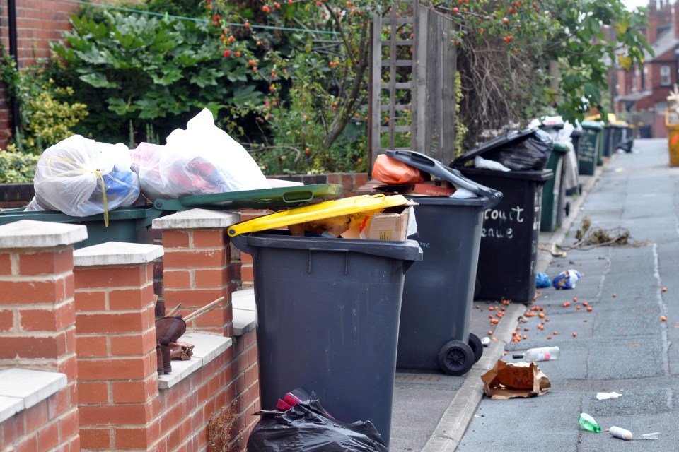 bin collection