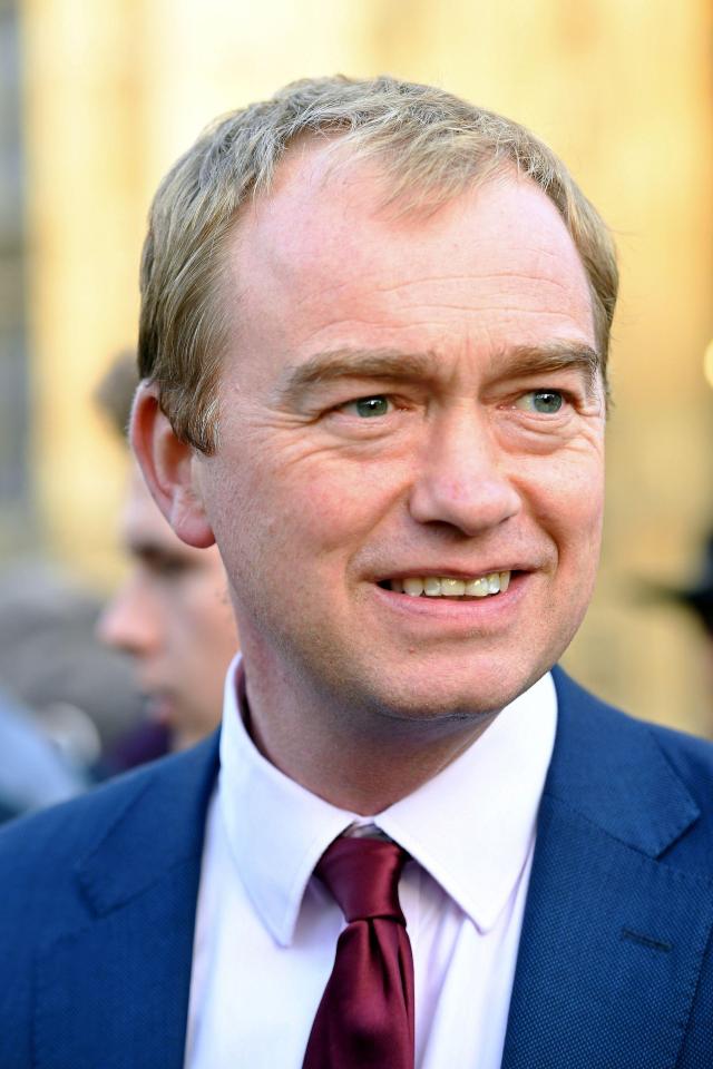  Tim Farron said her speech showed a "theft of democracy"