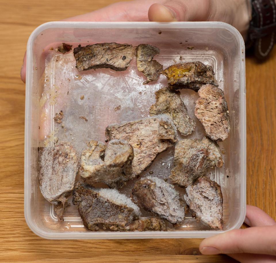  Lab analysis confirmed the steak had the 'appearance of tapeworm'