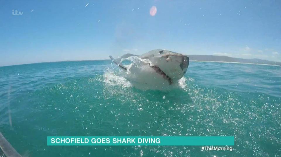  The presenter was joined by his wife to see the creatures up close