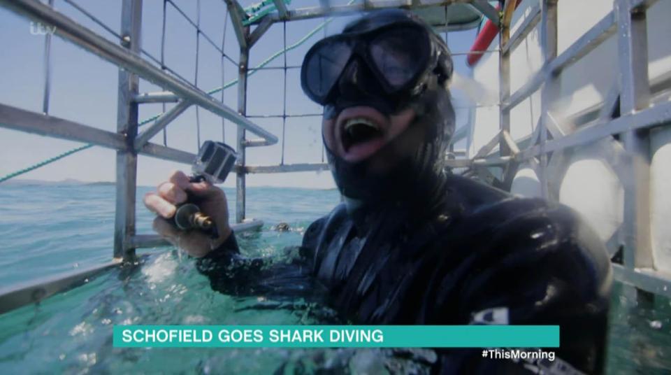  Phillip Schofield squealed as he came face to face with a great white shark