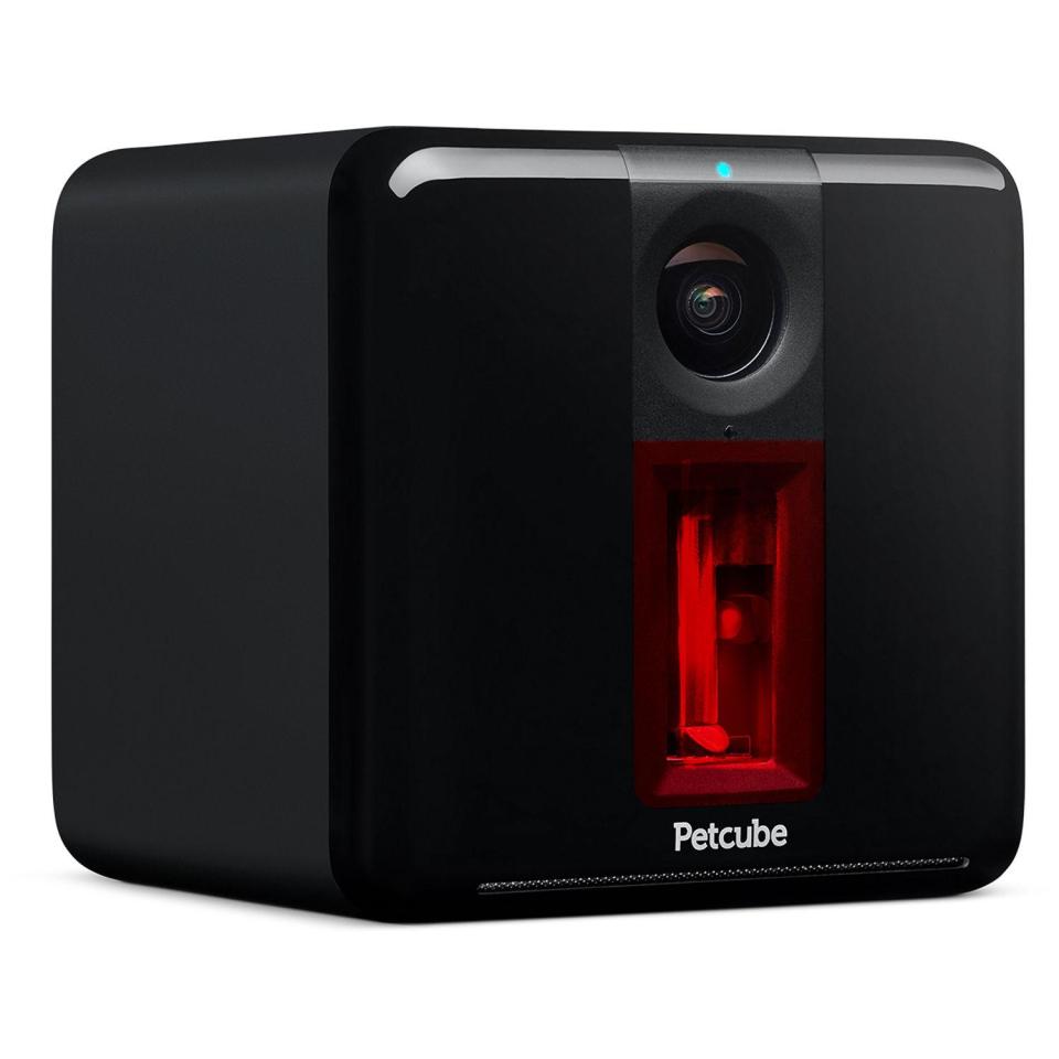  Laser friend . . . the Petcube has a one-way camera that you can control with your phone