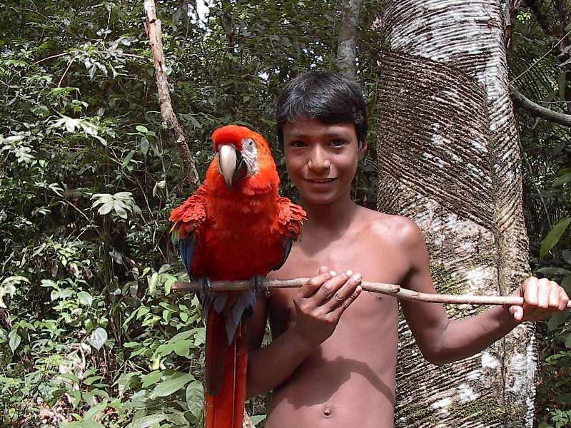  Pick a parrot . . . enjoy the delights of the Amazon from a cruise ship