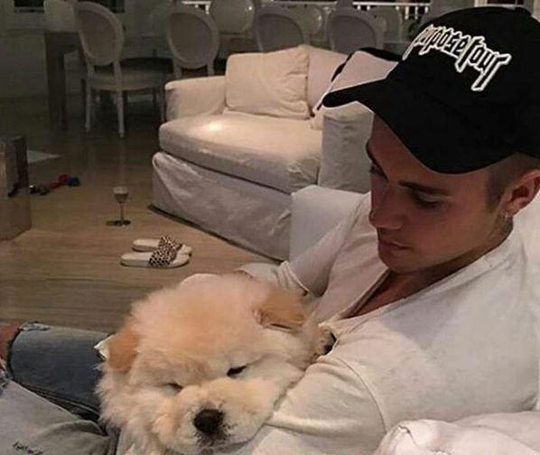  Justin Bieber has come under fire for giving away his seven-month-old puppy Todd to his dancer C.J. Salvador