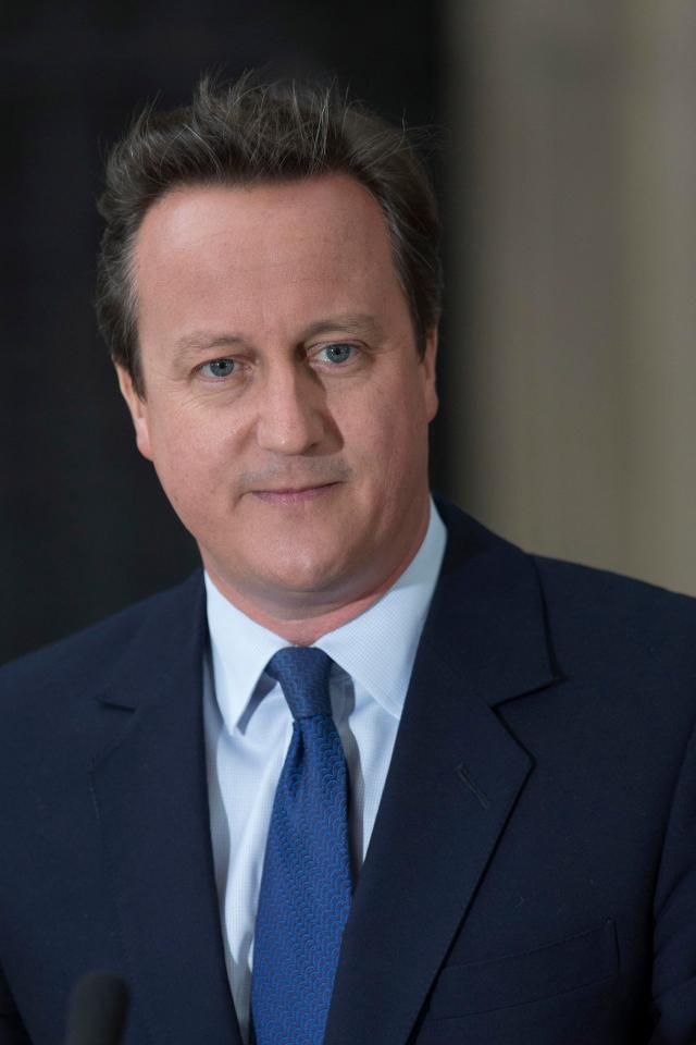  David Cameron wanted to be seen as greener and gentler than previous Tories