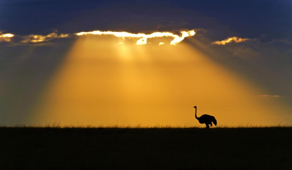  Marc says that his first aim is to find the appropriate flat landscape around either sunrise or sunset that will lend itself to capturing the silhouette