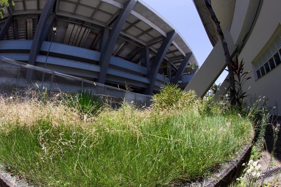  The Maracana has been left to rot - a broken legacy of the World Cup and Rio Olympics