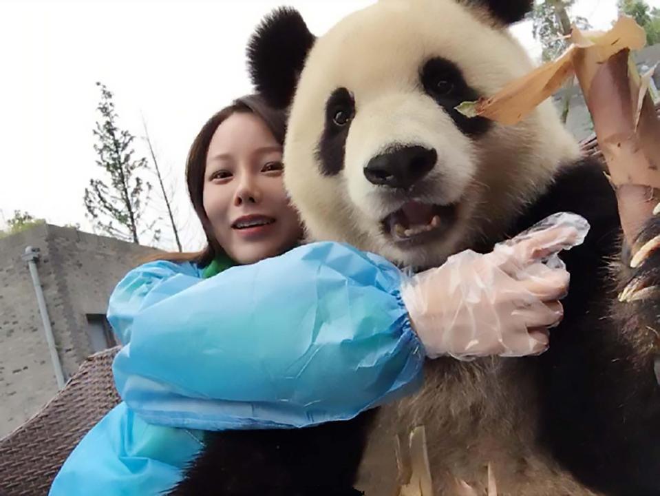  The lucky tourist even gets to cuddle the big bear