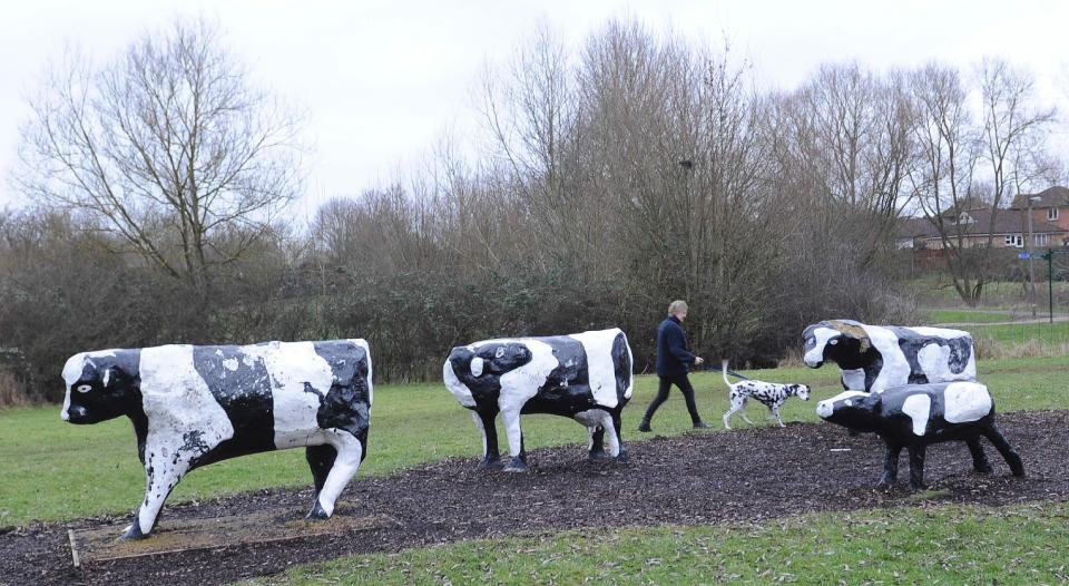  During their time the cows have been vandalised, stolen and even beheaded