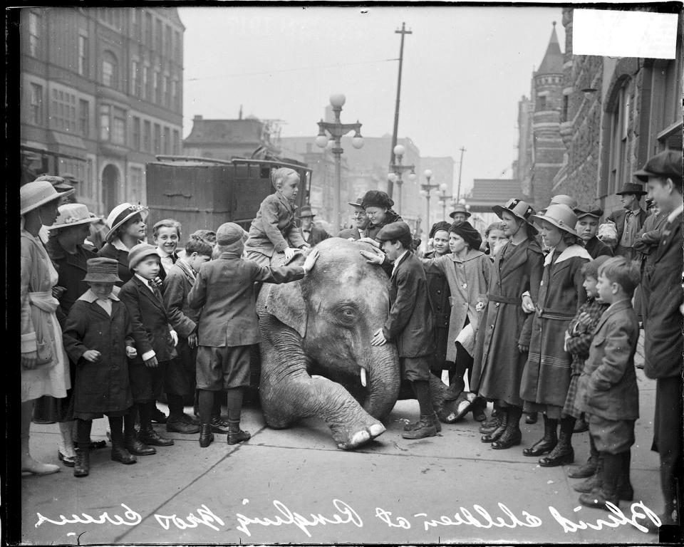  Photos from its history show why animal rights campaigners took issue with the circus