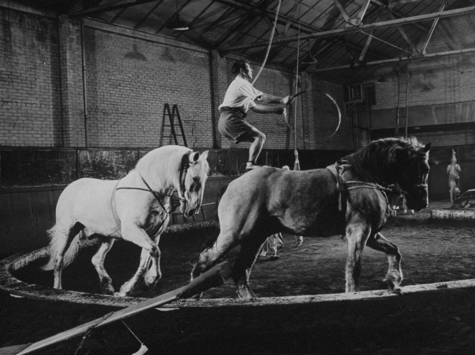  Horse riders numbered among the least controversial animal acts on display