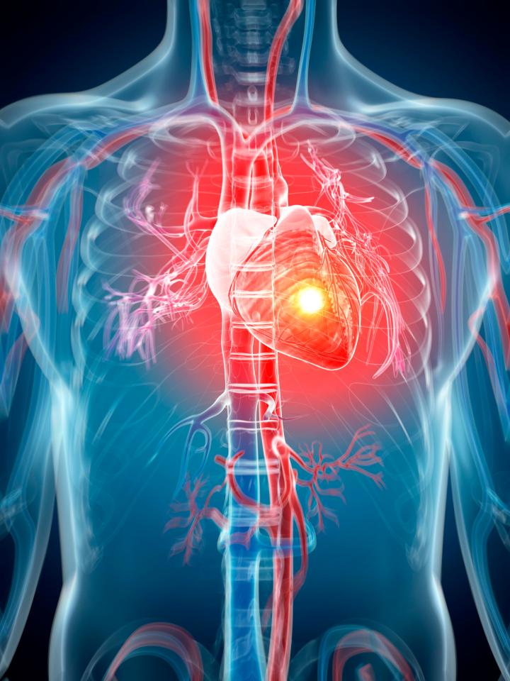 Each week in the UK around 12 people aged 35 and younger are victims of sudden cardiac death with seemingly no explanation