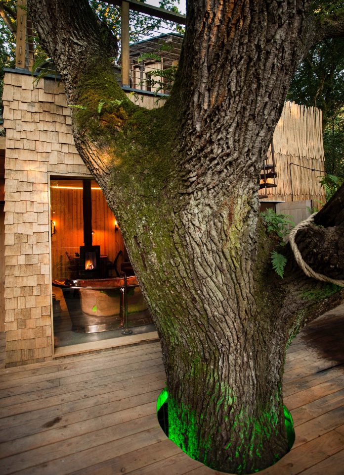  The thick insulating walls feature picture windows that offer woodland views, and there is ceiling window above the bed that looks up at the impressive oak canopy above.