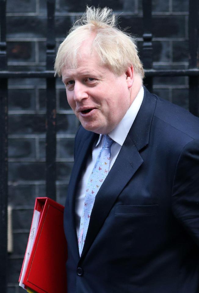  The Foreign Secretary said the Prime Minister had nailed the 'ambiguities'