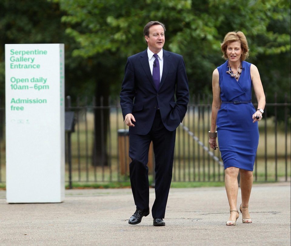  Dame Julia, pictured with former Prime Minister David Cameron, is believed to have become a first-time mum at the age of 64