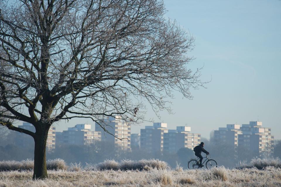 A cyclist braves it through a bitter cold Richmond Park 