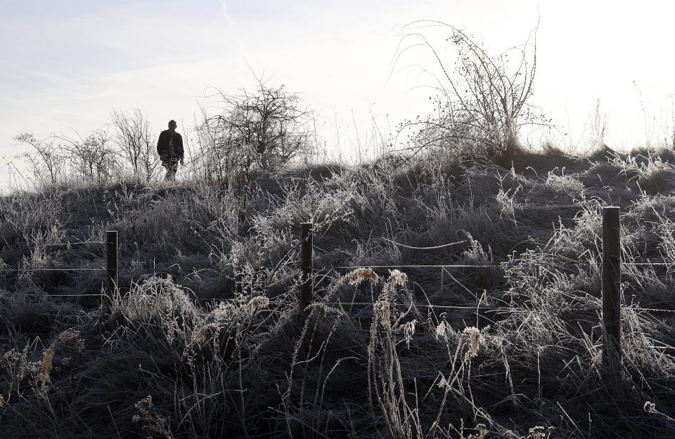 frosty UK