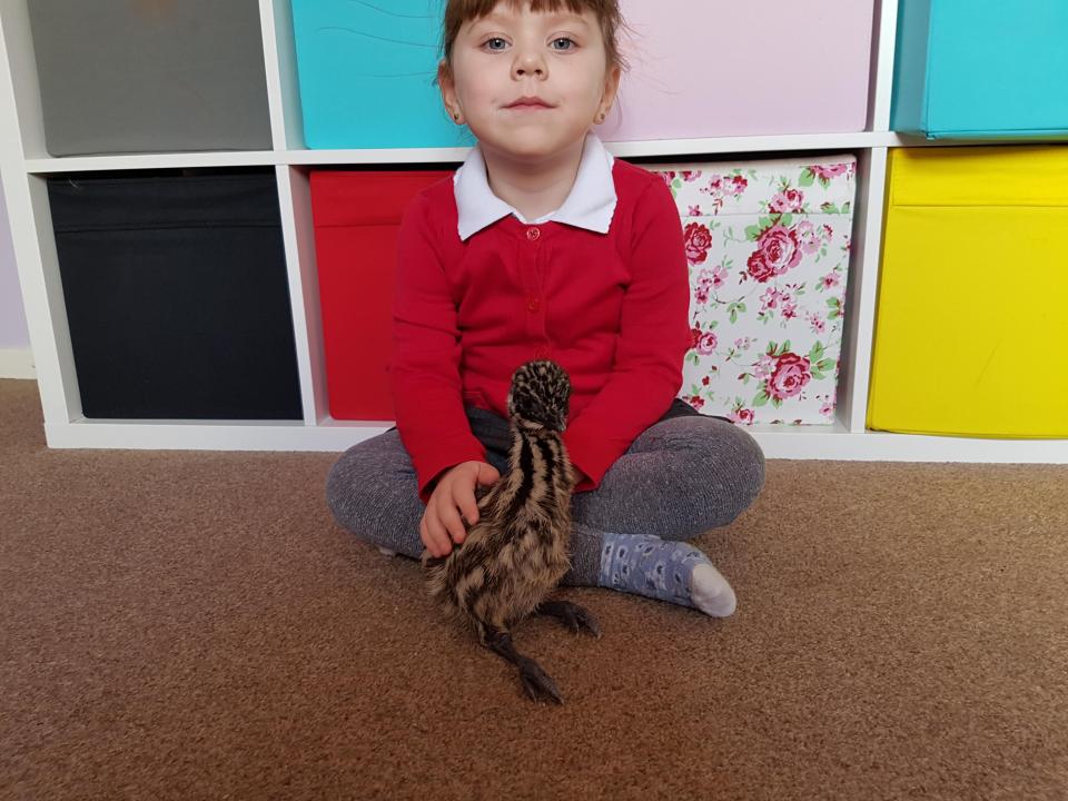  Charlotte's kids Ellie, Rhys and Molly all love their new pet - who lives in the house