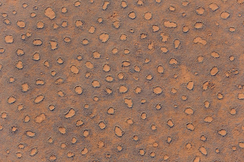  Similar circles like those in Namibia (above) have been spotted in deserts across the world