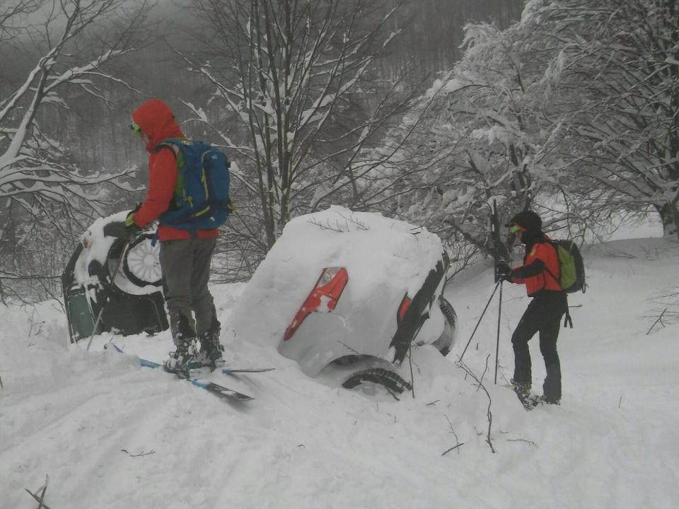  The avalanche picked up cars and trees as it came crashing down the mountain