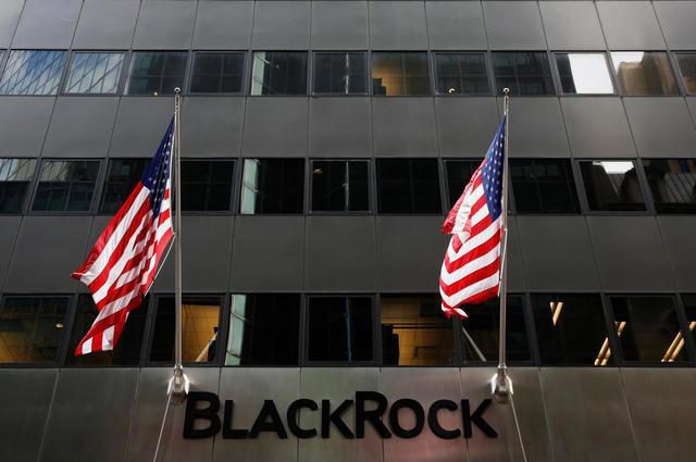  American investment fund BlackRock has warned they will overturn executive pay awards if they're larger than employees' - but their founded earned $26 million last year