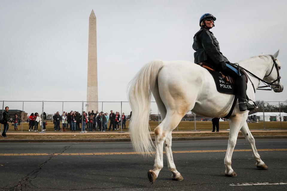  A mounted cop on duty ahead of today's inauguration