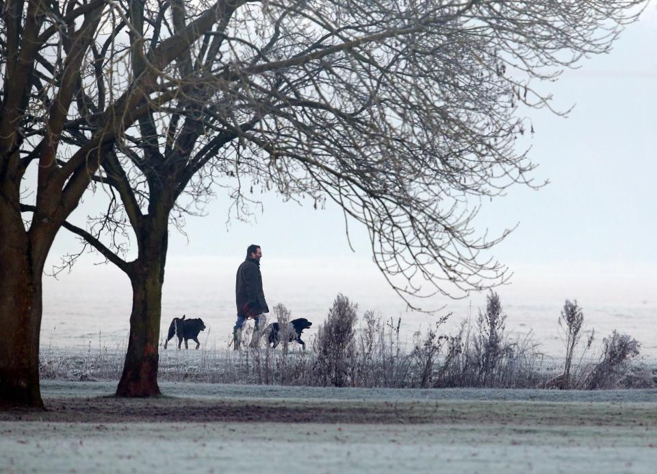 A dog walker walks through the frost in Godmanchester, Cambridgeshire, this morning