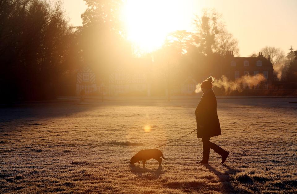  The ice made for stunning photos in Berkshire this morning, as the wintry weather set in overnight