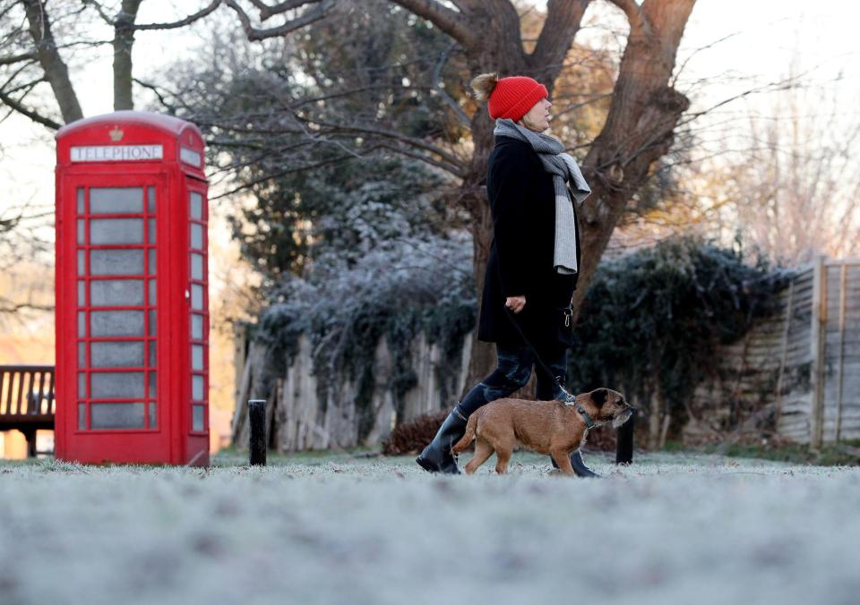  A woman pictured walking her dog across Holyport Common, Berkshire, this morning as experts warn of potentially dangerous driving conditions