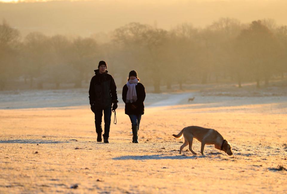  Dog walkers in Richmond Park, London this morning as Britain woke up to a chilly weekend with widespread frost