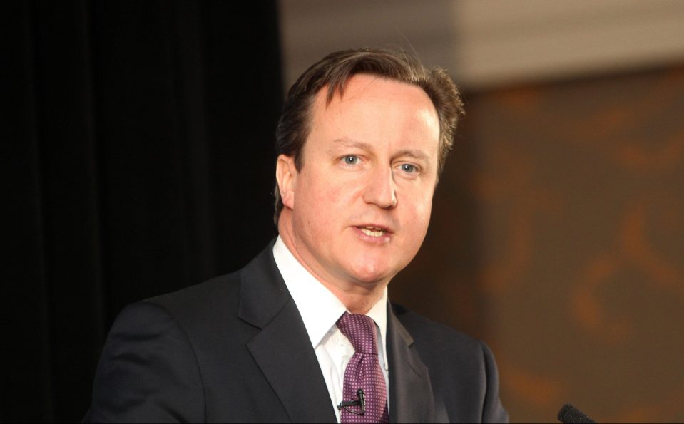  Cameron has revealed his next role will be president of Alzheimer's Research UK