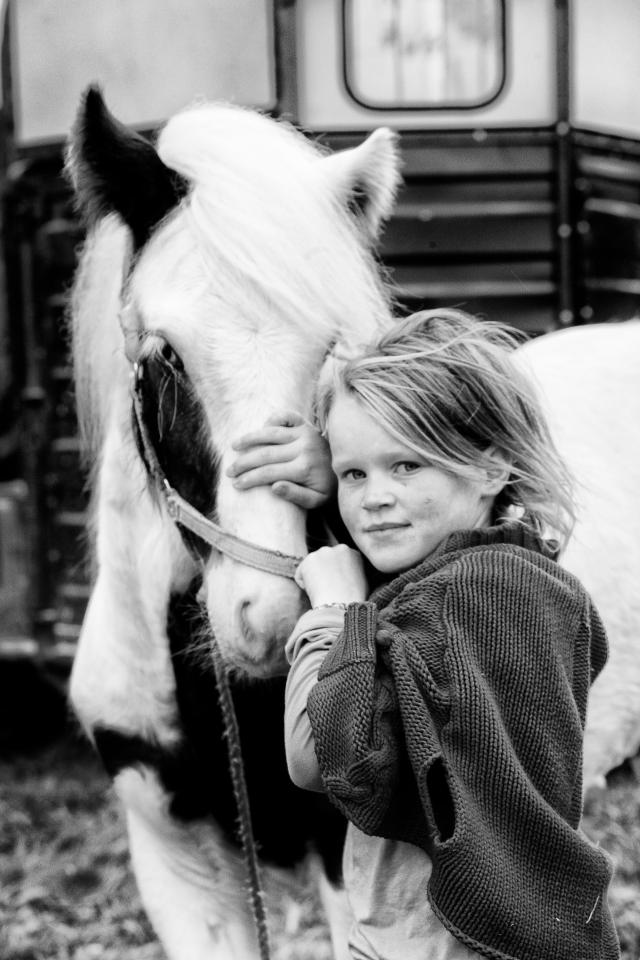  Horses are an integral part of the traveller's life