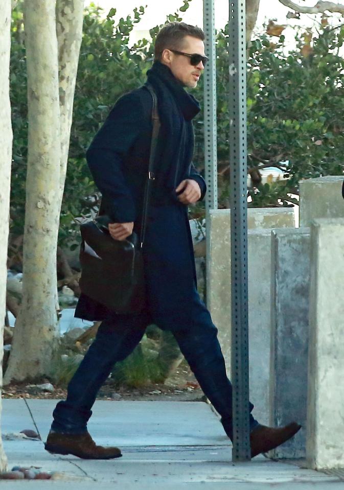  Brad Pitt has been pictured leaving a luxury hotel in California after hosting a party