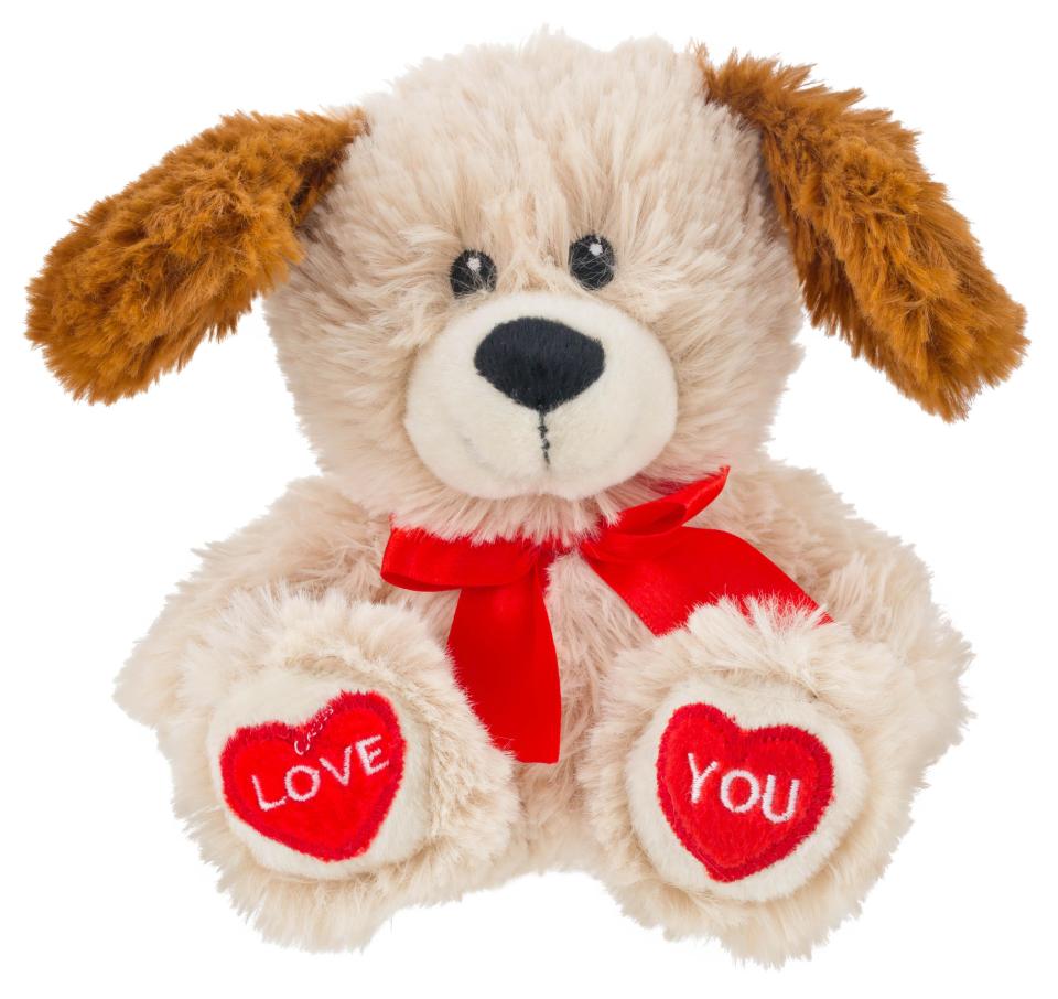  This fluffy Valentine's ted is on offer at Poundland for just £1