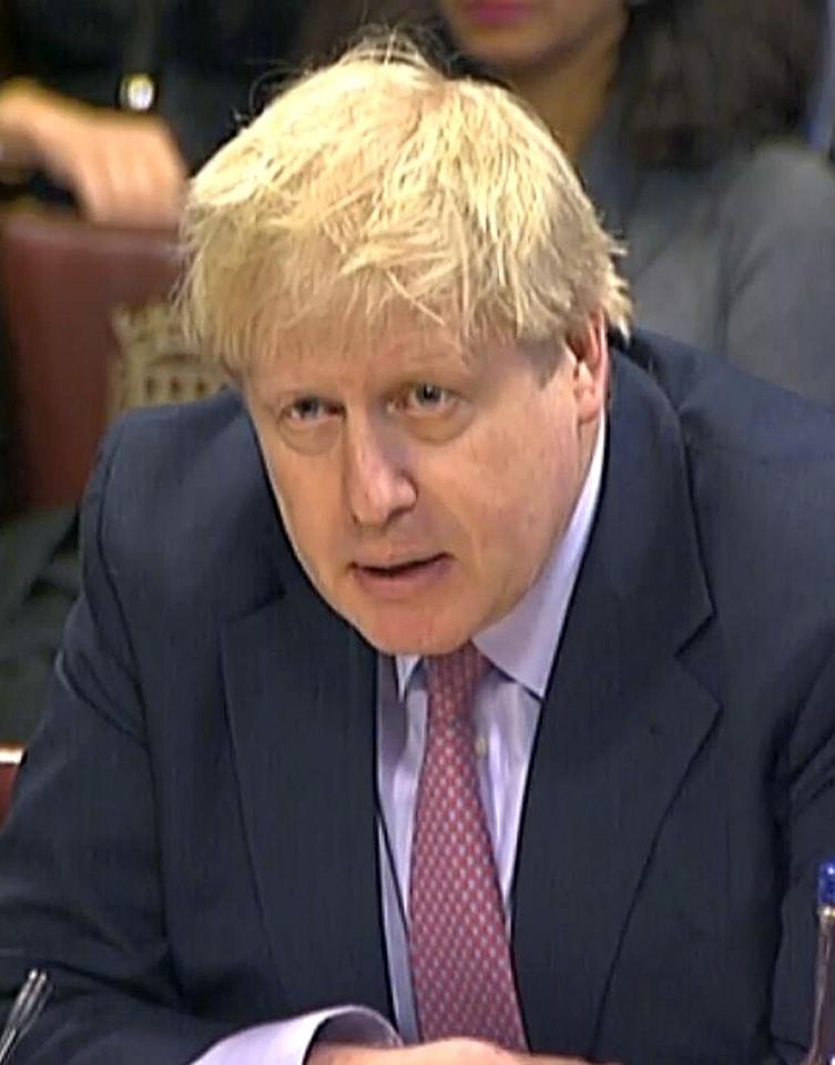  Boris Johnson leapt to Trump's defence after the US President was likened to Nazi leader Adolf Hitler