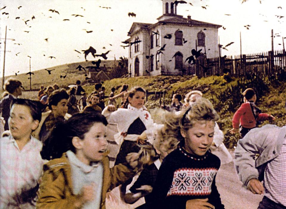  A scene from Alfred Hitchcock's film The Birds, where children flee when their school is invaded