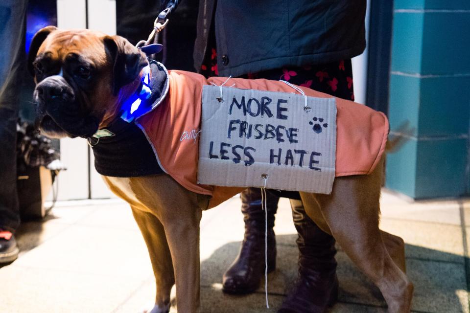  Wales: A dog owner put a sign on their pet which read: "More Frisbee, less hate"