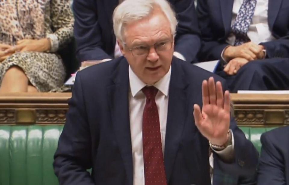  David Davis said MPs needed to trust the people and vote to enact the result of the referendum