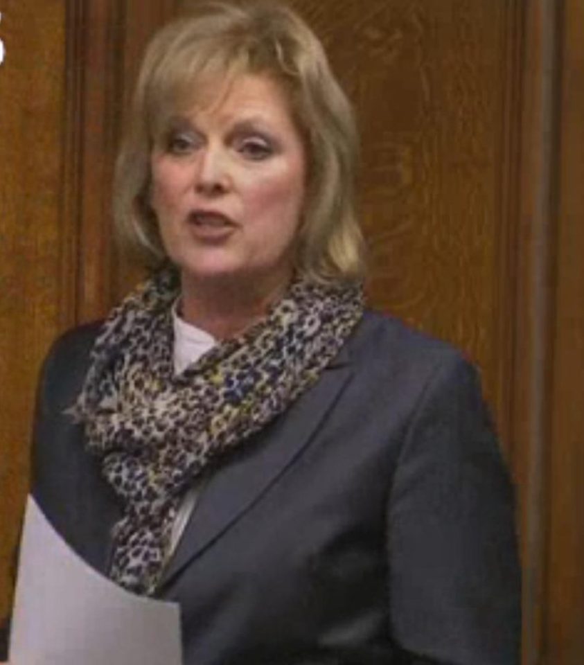  Anna Soubry claimed it is for Parliament to decide on Brexit, not the Government