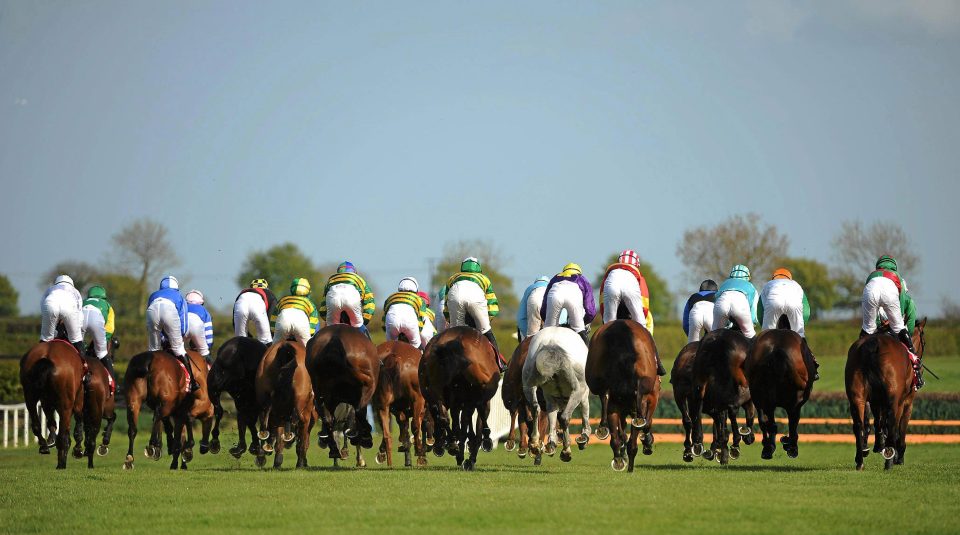 Fairyhouse racecourse