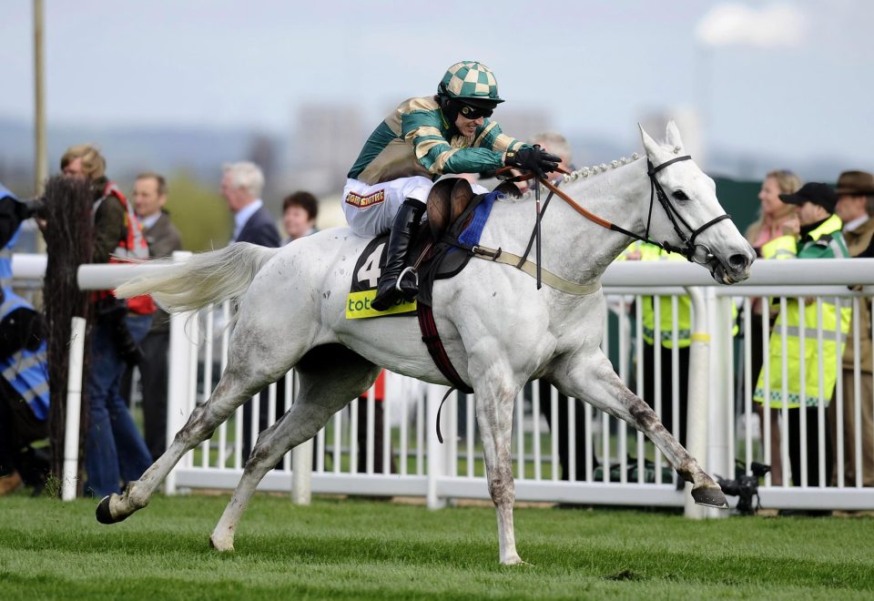  Nacarat won the race twice for Tom George