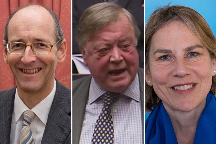  Just three Tory MPs rebelled - Andrew Tyrie, Ken Clarke and Tania Mathias