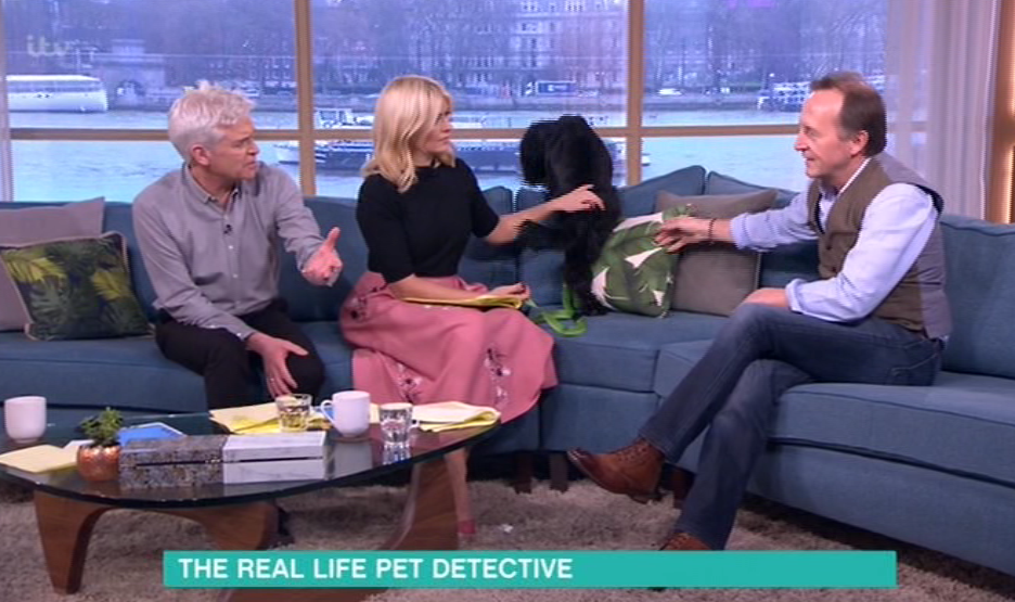  The pair were talking to a real life pet detective about the rise in stolen pets when his trained cocker spaniel, Molly, began to cause chaos