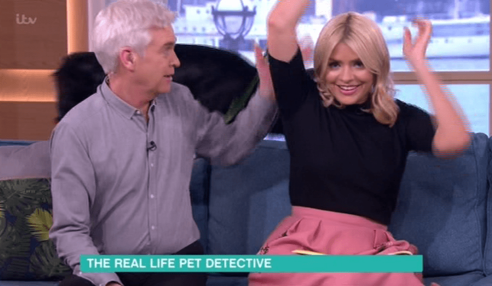  Holly Willoughby and Phillip Schofield had their hands full on Thursday morning as they found themselves constantly disrupted by an excited dog